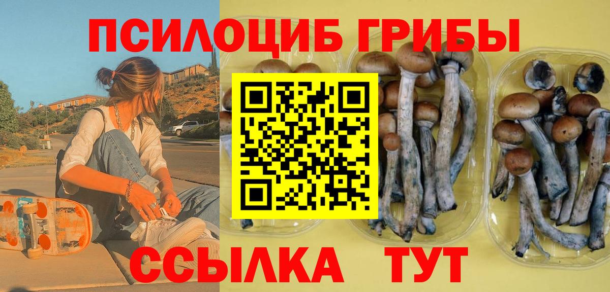Заволжье  купить  сайты  Псилоцибиновые грибы мухоморы  Вход с VPN  Галлюциногенные грибы GOLDEN TEACHER 