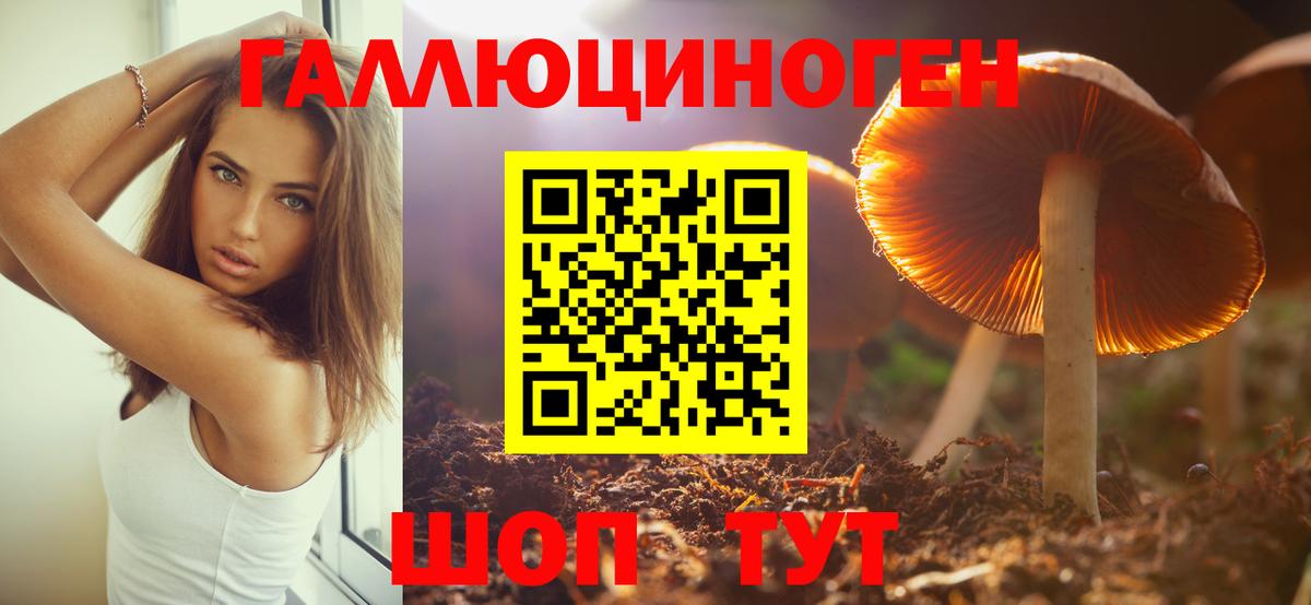 Псилоцибиновые грибы Magic Shrooms Заволжье